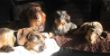 thumb_26741958
